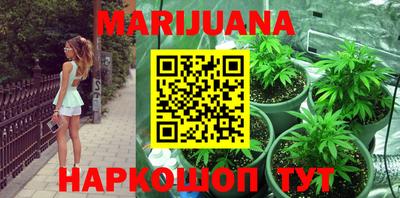 индика Моздок