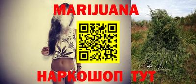 индика Моздок
