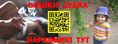 индика Моздок