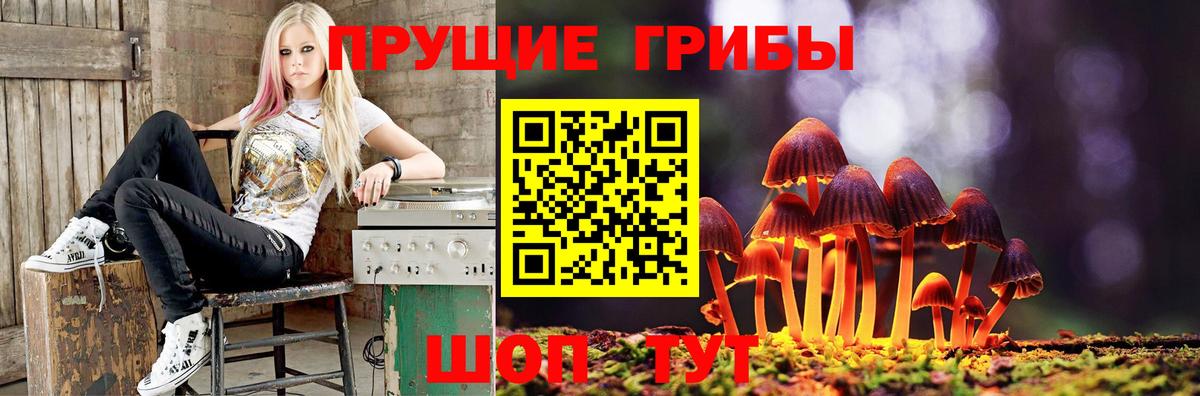 Псилоцибиновые грибы Magic Shrooms  Вход с VPN  закладки  Рязань 