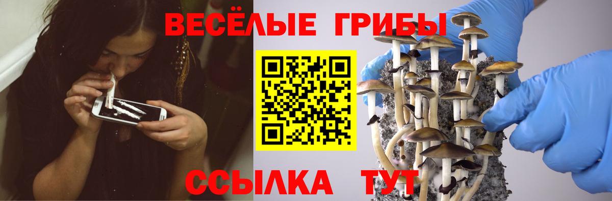Псилоцибиновые грибы Magic Shrooms Рязань
